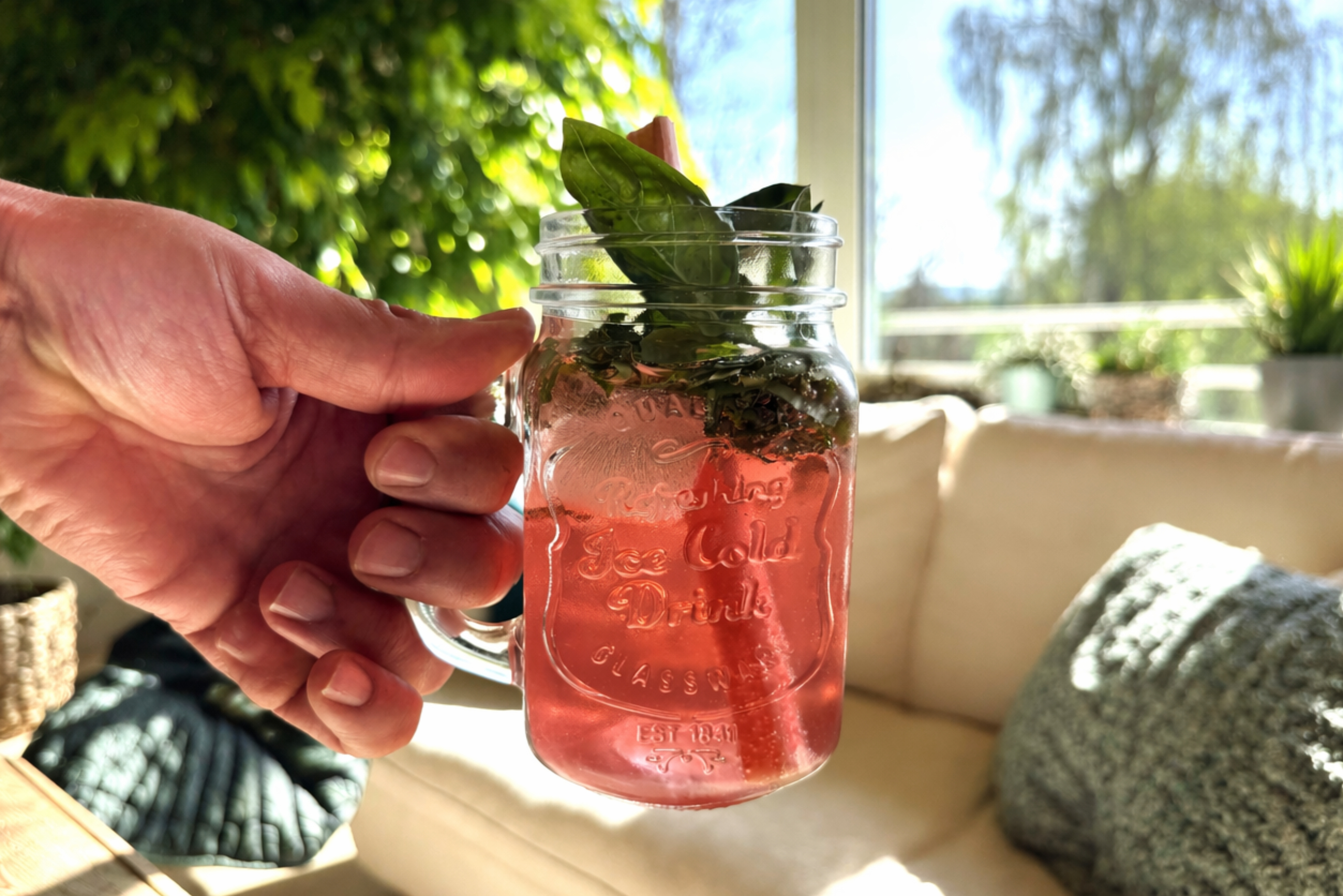 Rhabarber Spritz