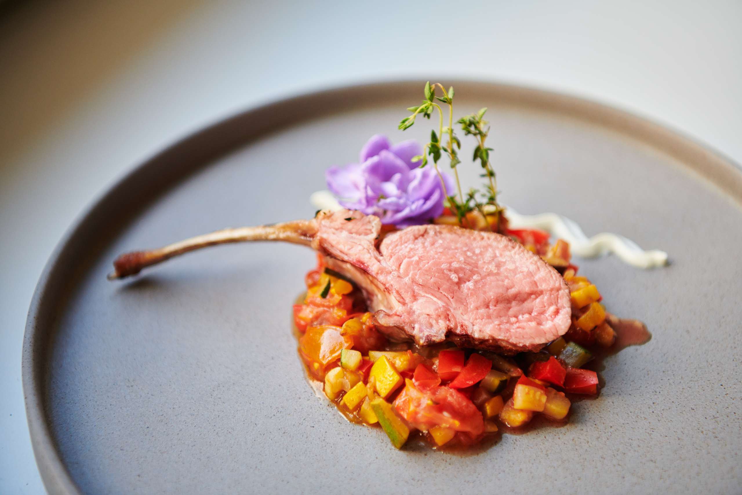 Zartes Lammkarree auf aromatischem Ratatouille